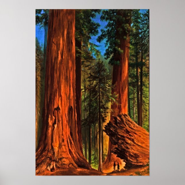 Affiche Arbres géants de la forêt de séquoias Yosemite Val (Devant)