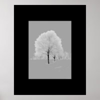 Arbres - mat, noir & blanc peint art