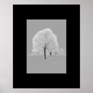 Affiche Arbres - mat, noir & blanc peint art