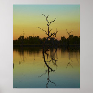 Affiche Arbres morts reflétés dans le lagon de Lily Creek,