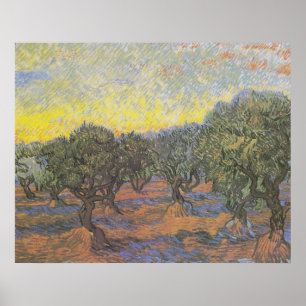 Affiche Arbres oliviers ciel jaune de Van Gogh