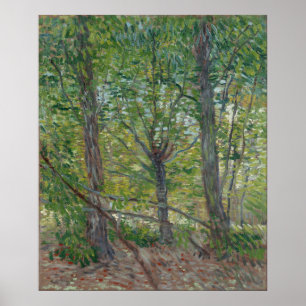 Affiche Arbres par Vincent Van Gogh