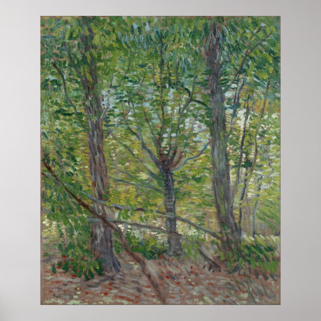 Affiche Arbres par Vincent Van Gogh (Devant)
