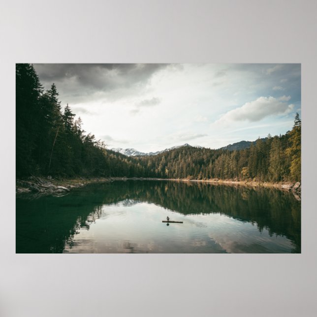AFFICHE ARBRES PRÈS DU CORPS D'EAU PENDANT LA JOURNÉE (Devant)