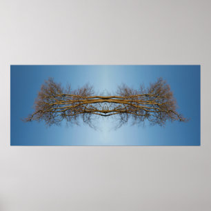Affiche Arbres reflétés