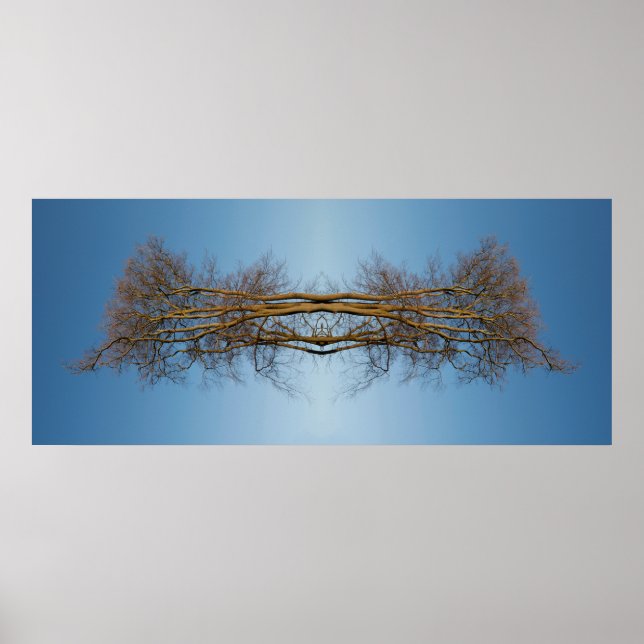 Affiche Arbres reflétés (Devant)