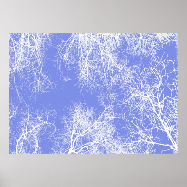 Affiche Arbres silhouettes bleus et blancs (Devant)