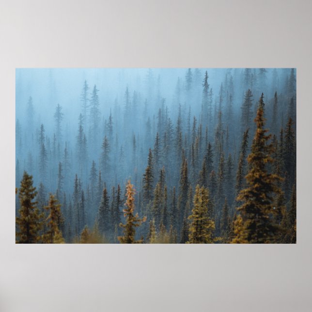 AFFICHE ARBRES VERTS EN JOURNÉE (Devant)