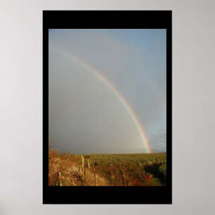 Affiche arc-en-ciel