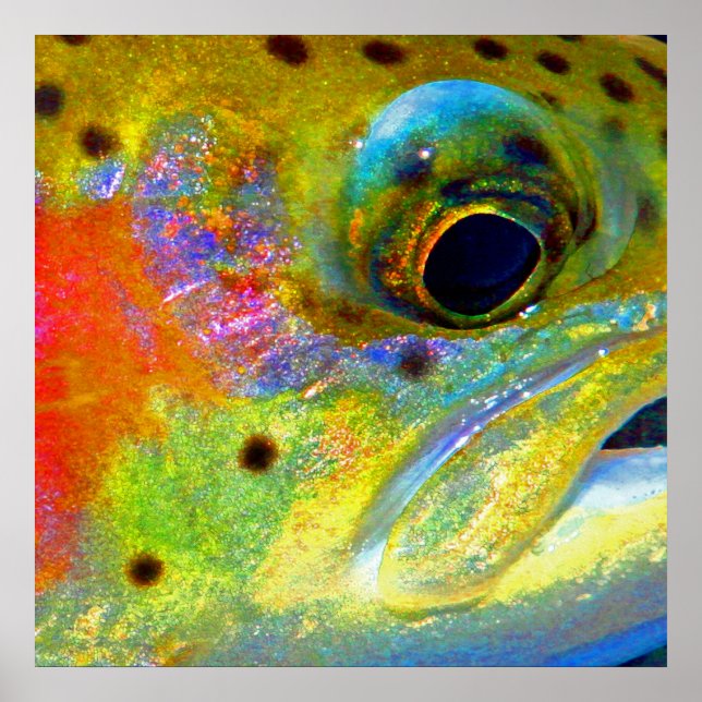 Affiche "Arc en ciel céleste" (Devant)