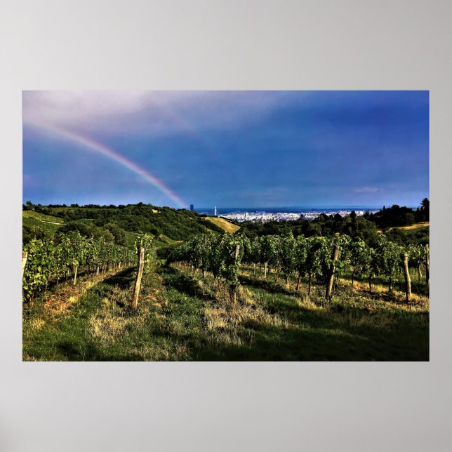 Affiche Arc-en-ciel viticole de Vienne (Devant)