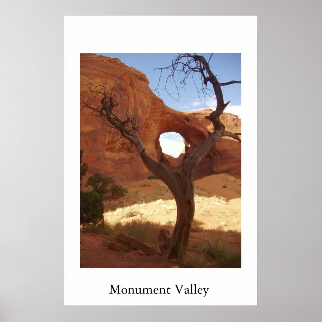 Affiche Arche (Devant)