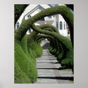 Affiche Arches de Topiary à Zarcero, Costa Rica