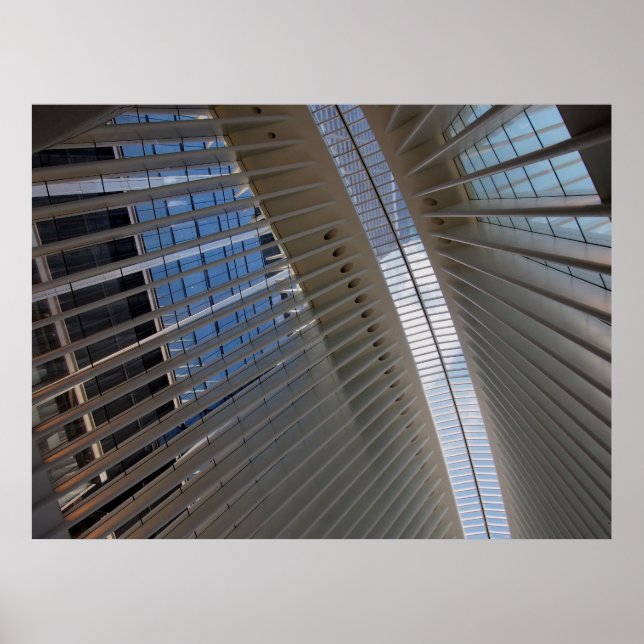 Affiche architectural spiderweb (Devant)