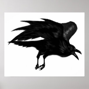 Affiche archivistique de Raven de vol