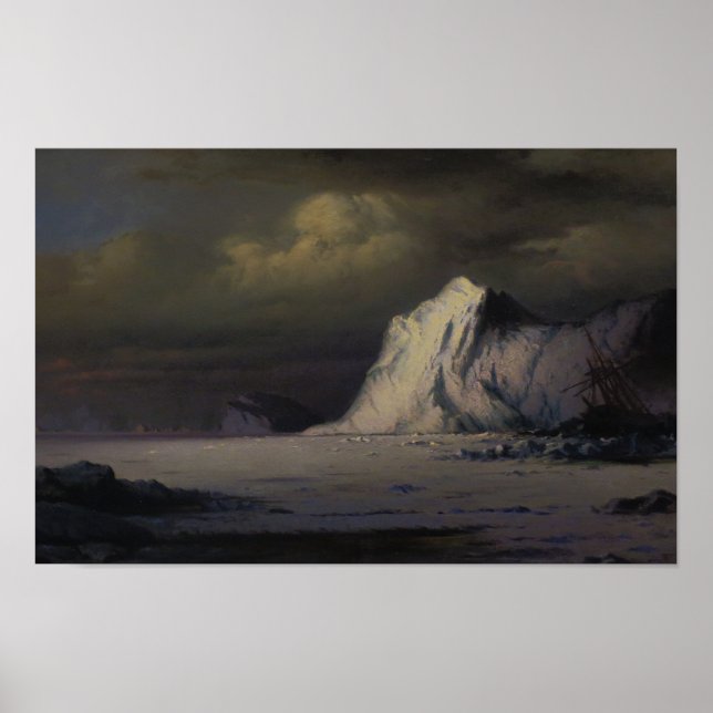 Affiche Arctic (Devant)