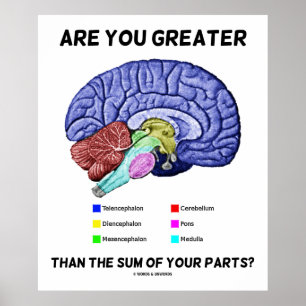 Affiche Are You Greater Than The Sum Of Your Parts? Brain
