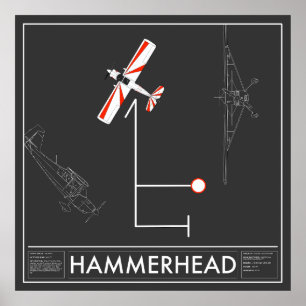 Affiche Aresti Aerobatic Hammerhead Super Decathlon