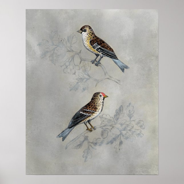 Affiche Argent | Deux oiseaux (Devant)