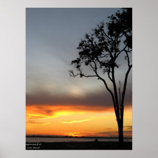 Affiche argent et or