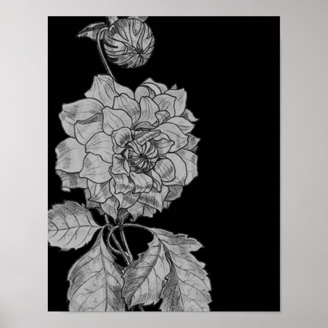 Affiche Argent Peony Flower Sur Black Floral Art (Devant)
