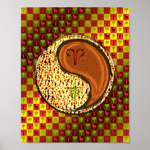 Affiche Aries et le singe du bois