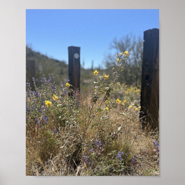 Affiche Arizona Désert Jaune Purple Fleurs Beauté cachée (Devant)