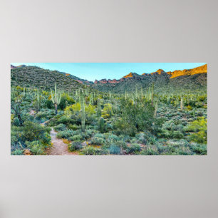 Affiche Arizona Desert Randonnée Trail Saguaro Cactus Fore