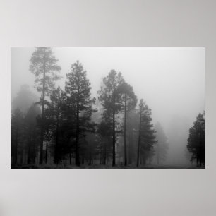 Affiche Arizona Fog