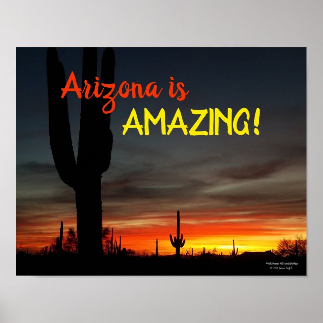 Affiche "Arizona is Amazing !" Cactus Sunset Sonoran (Devant)