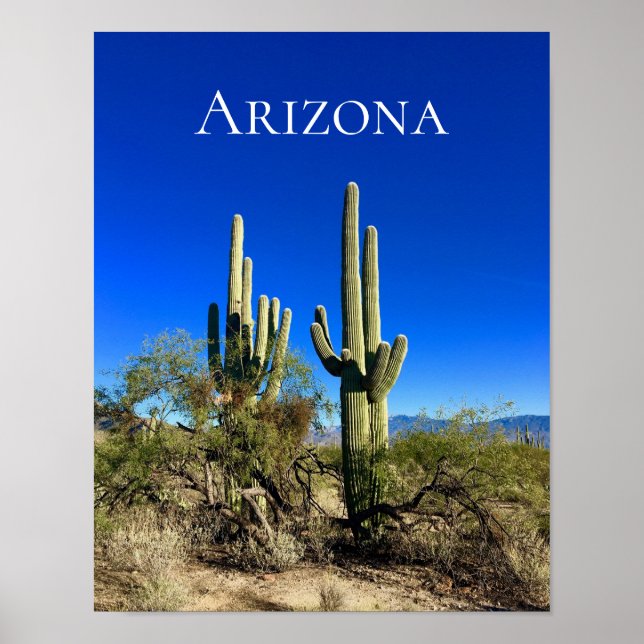 Affiche Arizona Saguaro Cactus Désert (Devant)
