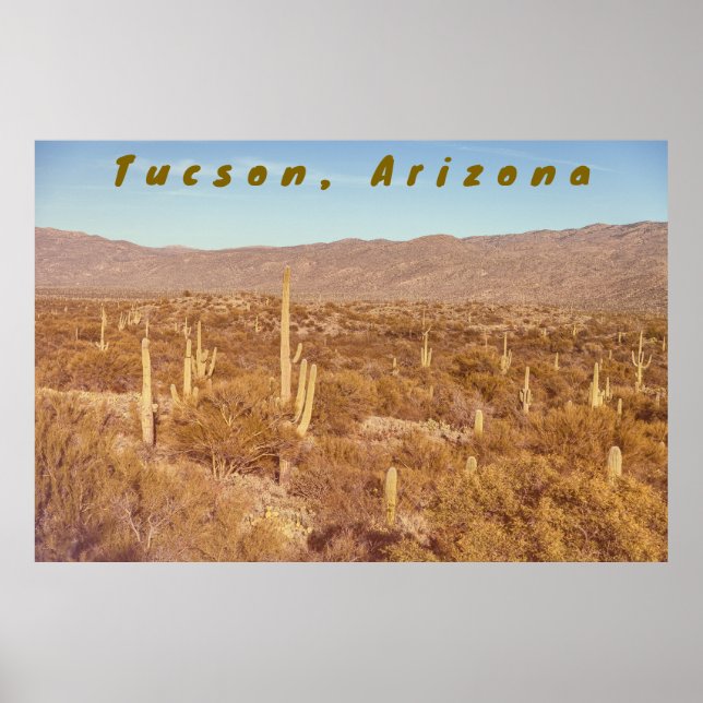 Affiche Arizona Saguaros (Devant)