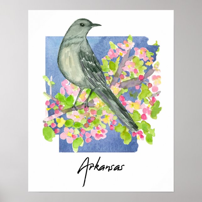 Affiche Arkansas État Naturel Moqueur Fleurs de Pommier (Devant)