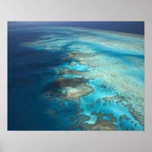Affiche Arlington Reef, Great Barriere Marine Park,