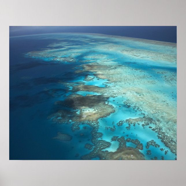 Affiche Arlington Reef, Great Barriere Marine Park, (Devant)