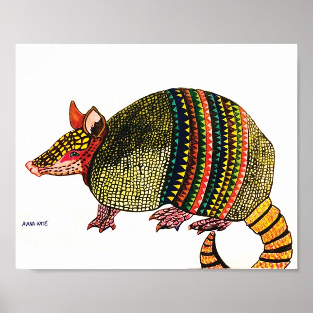 Affiche Armadillo (Devant)
