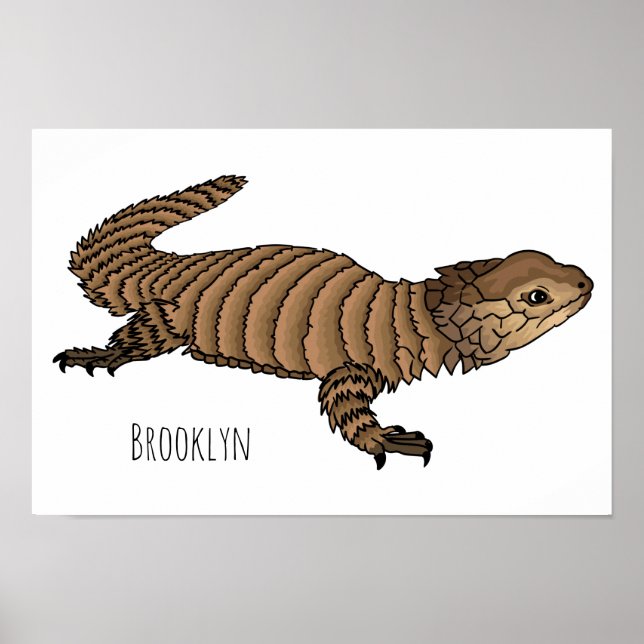 Affiche Armadillo girdled lizard (Devant)