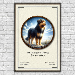 Affiche Armant (chien de berger égyptien) Série de zoologi