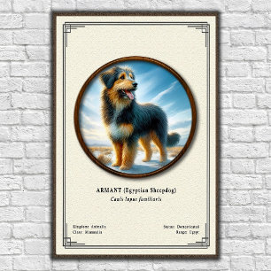Affiche Armant (chien de berger égyptien) Série de zoologi