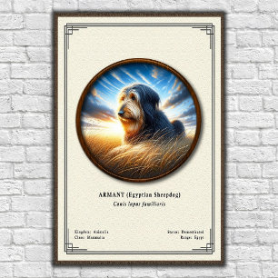 Affiche Armant (chien de berger égyptien) Série de zoologi