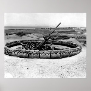 Affiche Arme à feu d'aa sur l'Okinawa