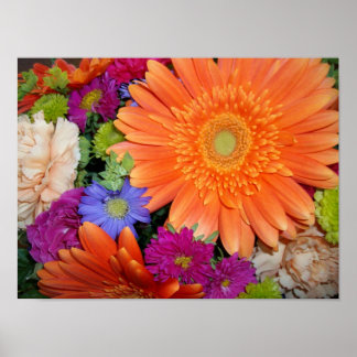 Affiche Arrangement Gerber Daisy
