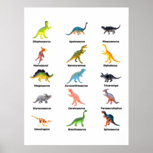 Affiche Array of Dinosaurs