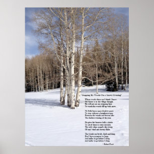 Affiche Arrêt par des bois une soirée de Milou