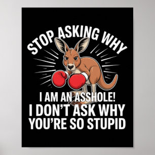Affiche Arrêtez De Demander Pourquoi Je Suis Un Trou