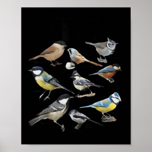 Affiche Arrêtez de regarder mon dicton d'amour des oiseaux