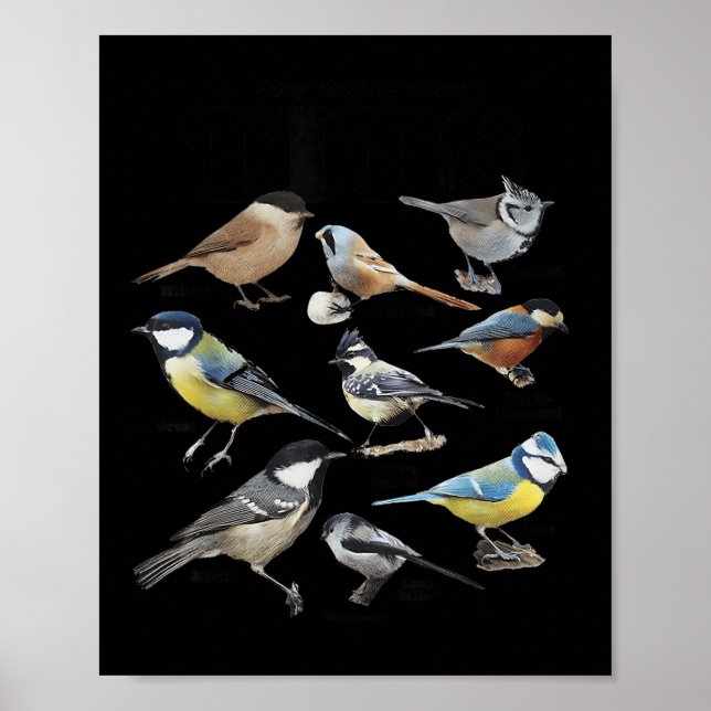 Affiche Arrêtez de regarder mon dicton d'amour des oiseaux (Devant)