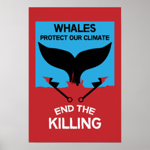 Affiche Arrêtez la chasse à la baleine   Protection marine