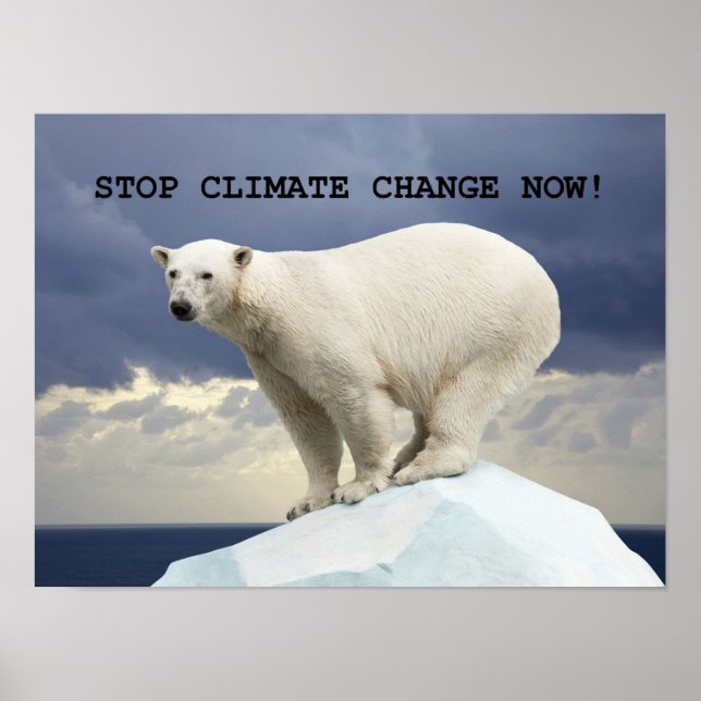 Affiche ARRÊTEZ LE CHANGEMENT CLIMATIQUE MAINTENANT ! Ours (Devant)
