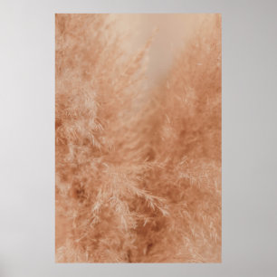 Affiche Arrière - plan Brown